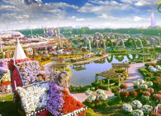 Discovering the Wonders of Dubai Miracle Garden: Nature’s Splendor in the Desert
