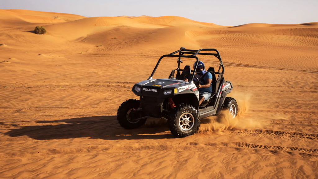Dubai Safari Timings – Complete Guide for Planning Your Perfect Safari ...