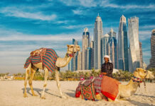 Traditional Things to Do in Dubai: Heritage, Markets, and Authentic Experiences