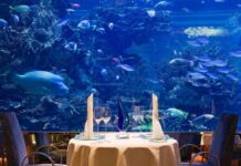 Luxury Things to Do in Dubai: Extravagant Experiences and Opulent Adventures