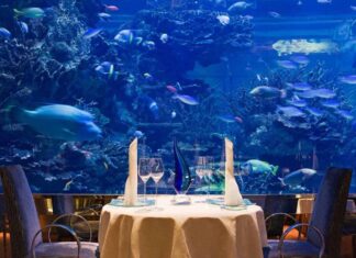 Luxury Things to Do in Dubai: Extravagant Experiences and Opulent Adventures