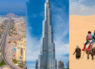 Instagrammable Things to Do in Dubai: Picture-Perfect Spots and Experiences
