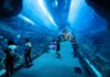 Best Things to Do in Dubai: Iconic Attractions, Adventure, and Entertainment