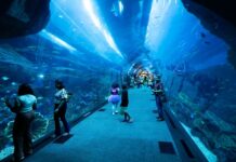 Best Things to Do in Dubai: Iconic Attractions, Adventure, and Entertainment