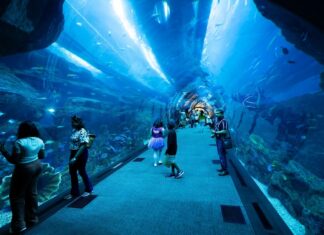 Aquaventure Waterpark Dubai Tickets – Prices, Inclusions & Booking Guide