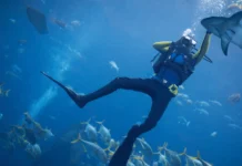 Scuba Diving Dubai: Explore the Underwater Wonders of the Arabian Gulf