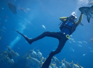 Scuba Diving Dubai: Explore the Underwater Wonders of the Arabian Gulf