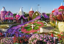 Miracle Garden Things to Do: Explore Dubai’s Floral Wonderland