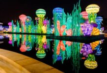 Night Activities in Dubai: Exciting Experiences After Sunset