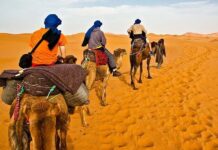 Desert Safari Fujairah – Complete Guide to Adventure in the Eastern UAE
