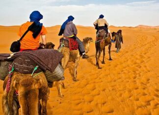 Top Desert Safari in Dubai: Ultimate Adventure in the Desert