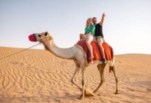 Desert Safari Umm Al Quwain – Complete Adventure Guide