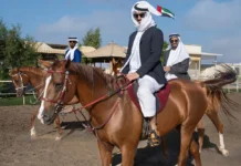 Horse Riding Dubai – Ultimate Guide to Equestrian Experiences