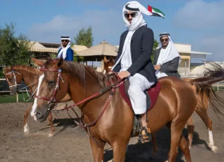 Horse Riding Dubai – Ultimate Guide to Equestrian Experiences