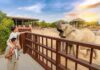 Zoo Safari Dubai Tickets – Guide to Dubai Safari Park
