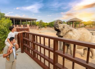 Zoo Safari Dubai Tickets – Guide to Dubai Safari Park